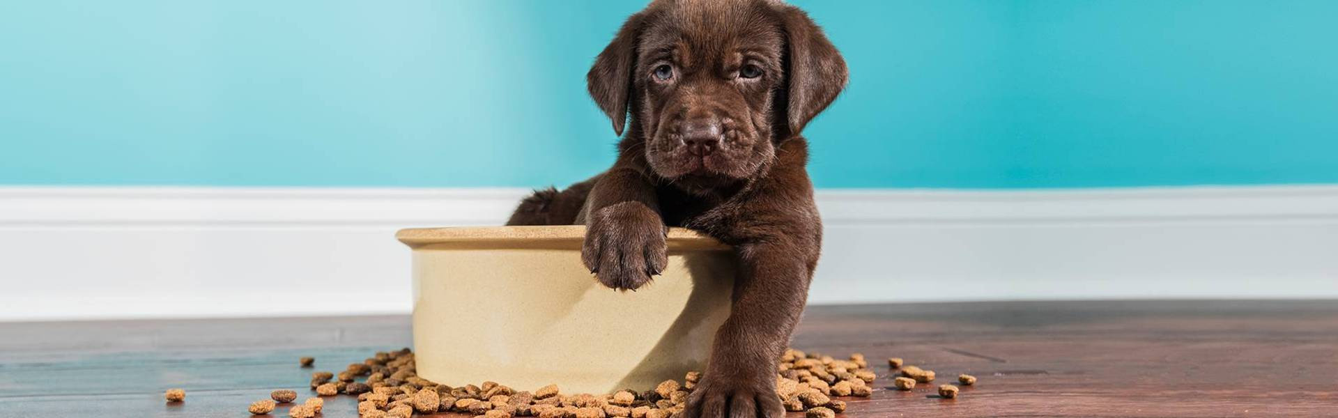 Kaufhaus -Kaufhaus 1